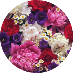 Fresh Flowers & Plants